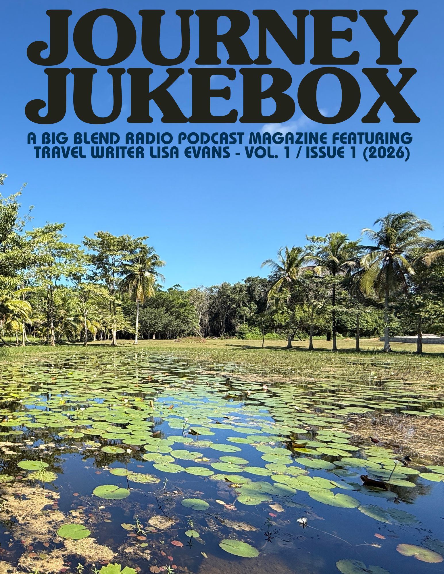 Check out my new Digital Magazine!