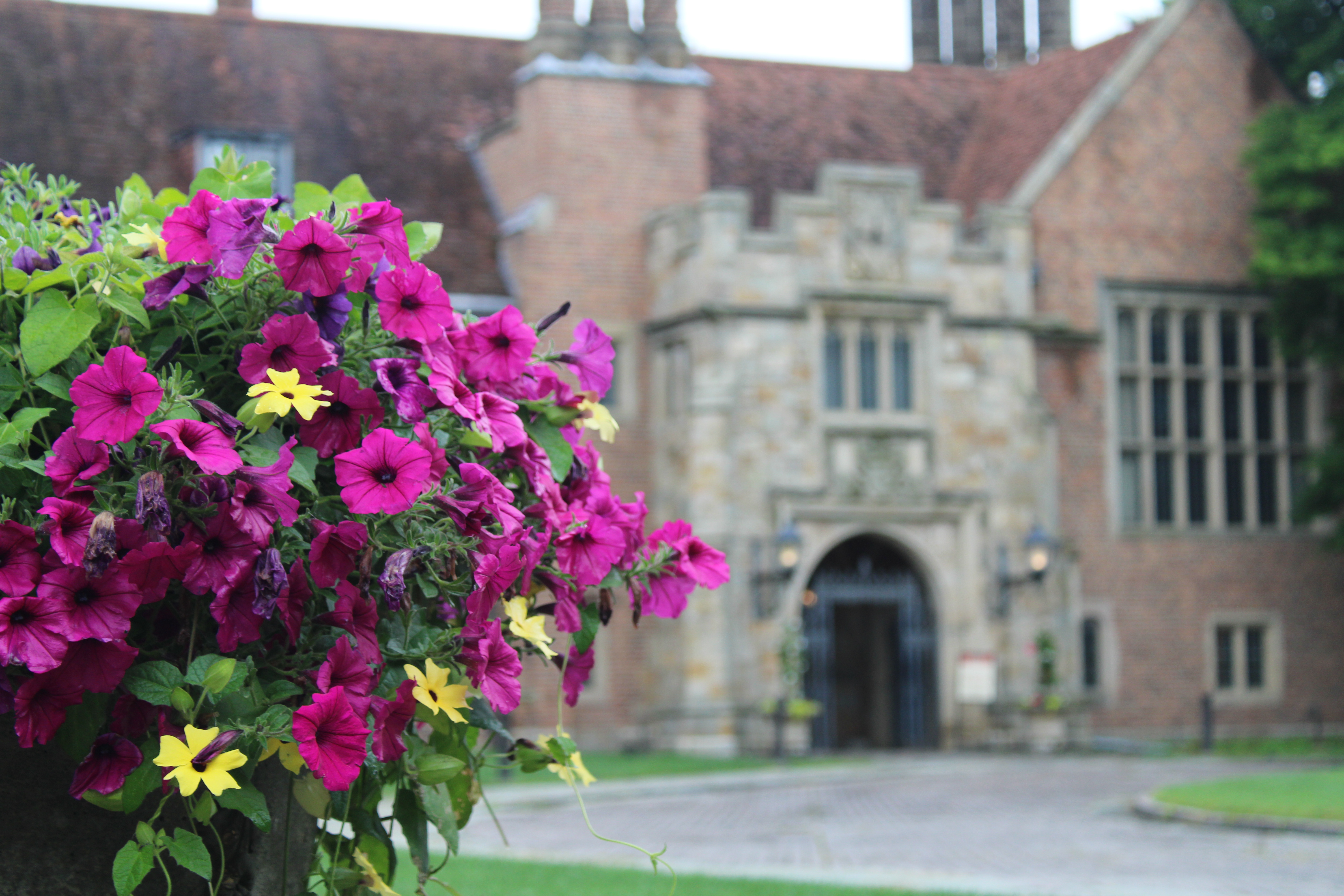 The Woman Behind the Walls of Meadow Brook Hall